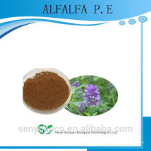 100% Extracto de plantas naturales alfalfa pe